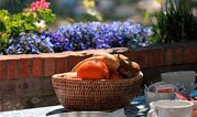 Breakfast on the solarium terrace