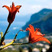 Sea view guest house in Capri 